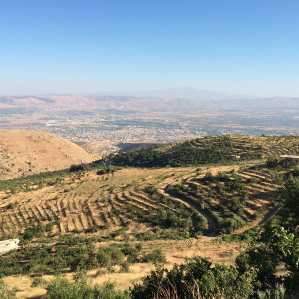 Terrains agricoles et vue sur la vallée de la Bekaa © SÉBASTIEN LAMY